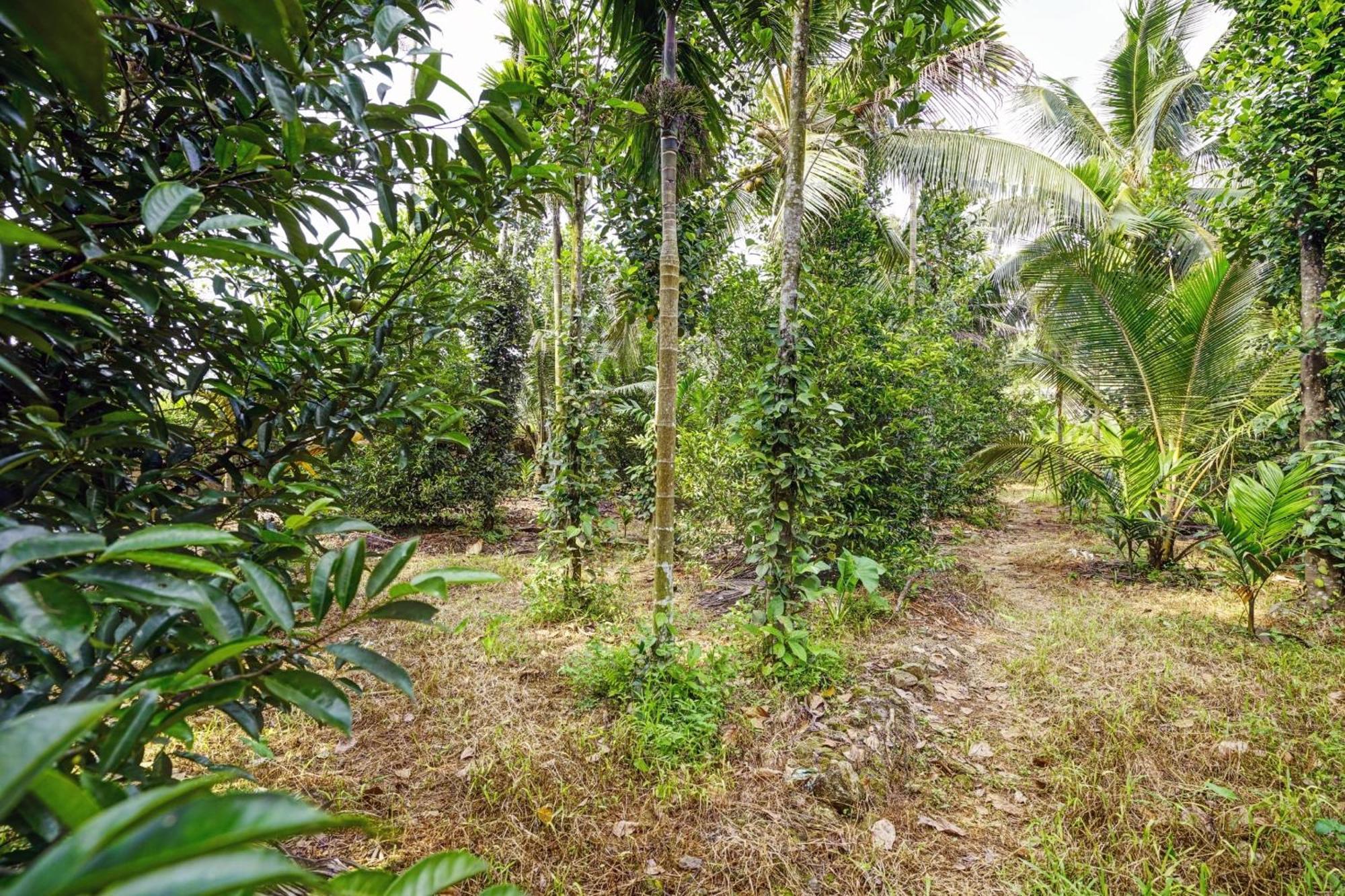 Spot On Shalom Palace Residency Neriyamangalam Extérieur photo