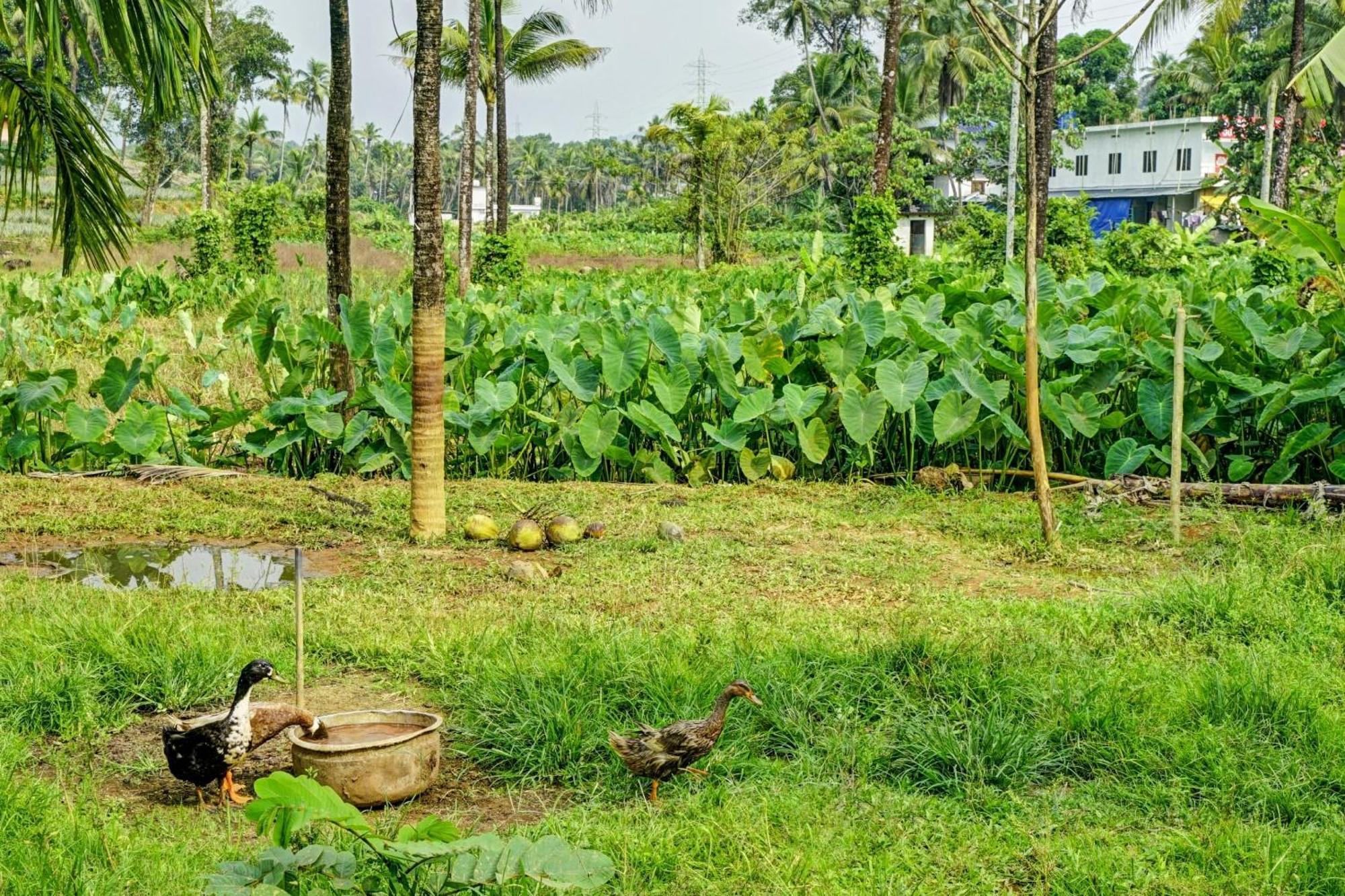 Spot On Shalom Palace Residency Neriyamangalam Extérieur photo
